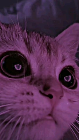 Looky_1693171581348 в LOOKY. . Ну да, я могу себе п...