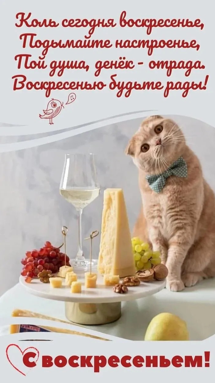  в LOOKY — публикация