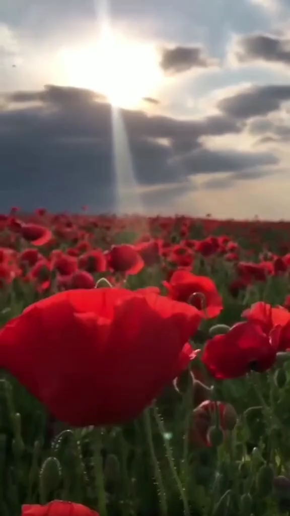 Татьяна в LOOKY — А небо цвета лето....