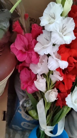 veronikadanila в LOOKY. . И сновав школу... 2е...
