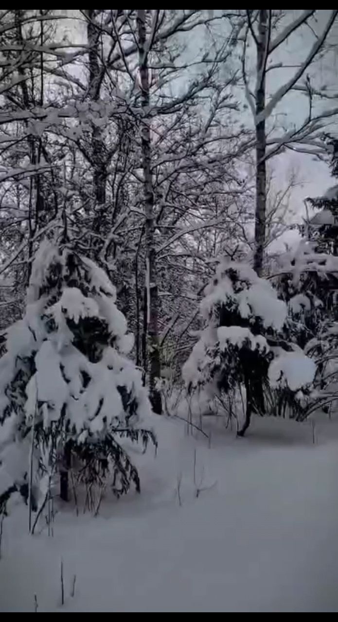 КнЯжнА в LOOKY. . Зимний Апрель🤨