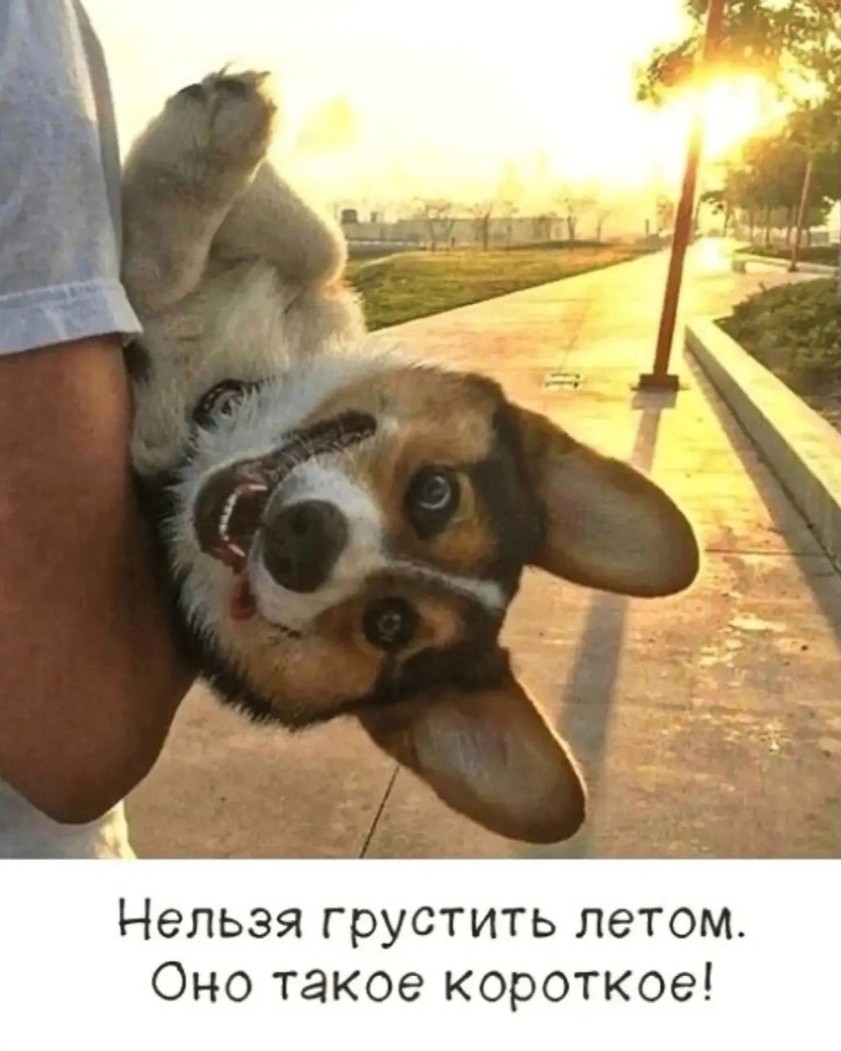 Sunsun в LOOKY — публикация