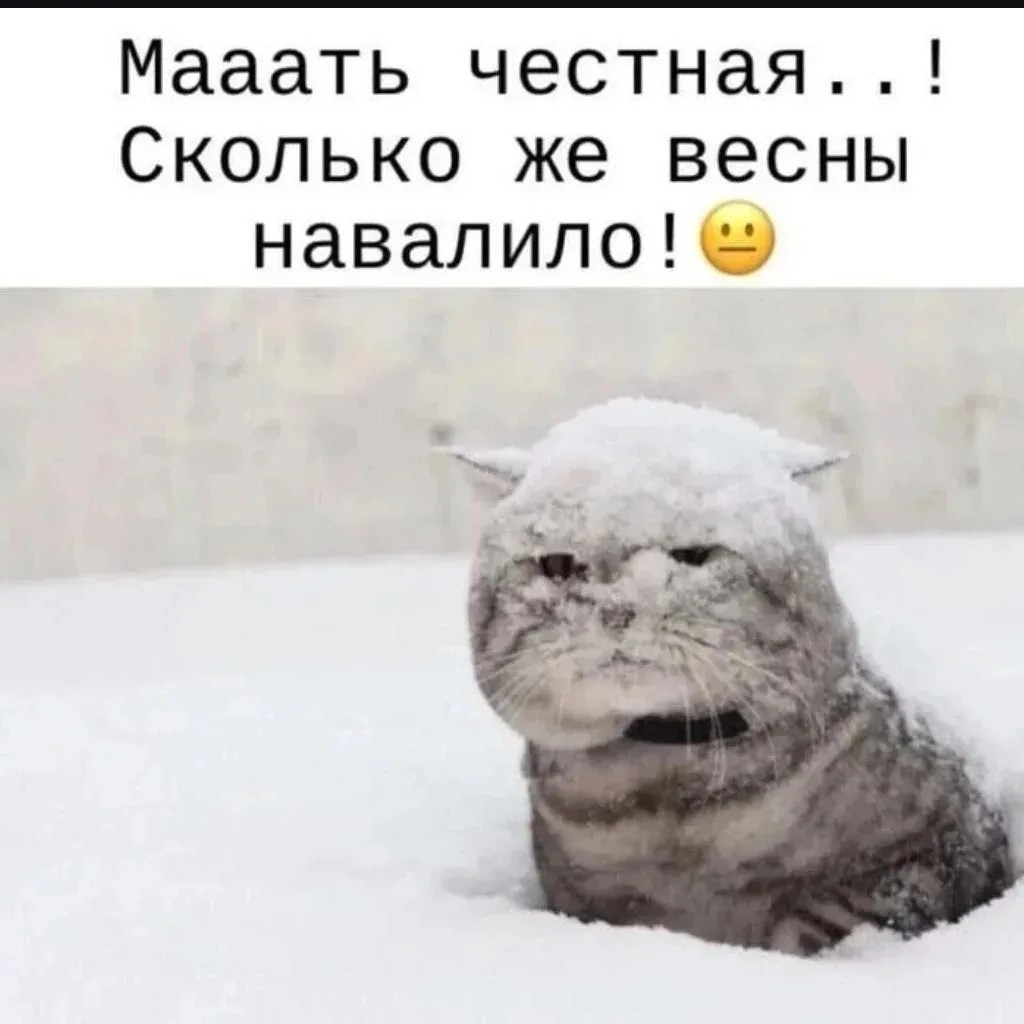 Серебряный Ветер в LOOKY. . 