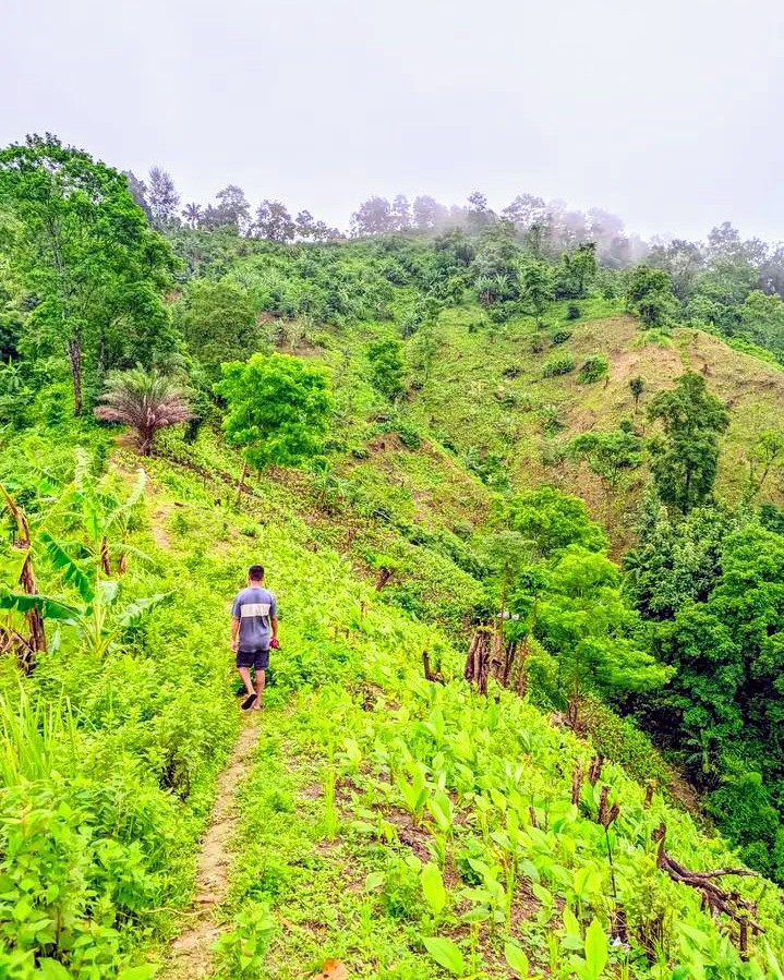 Wandering alone amidst the green hills— all around, there is peace, greenery, and a cool breeze that soothes the mind.