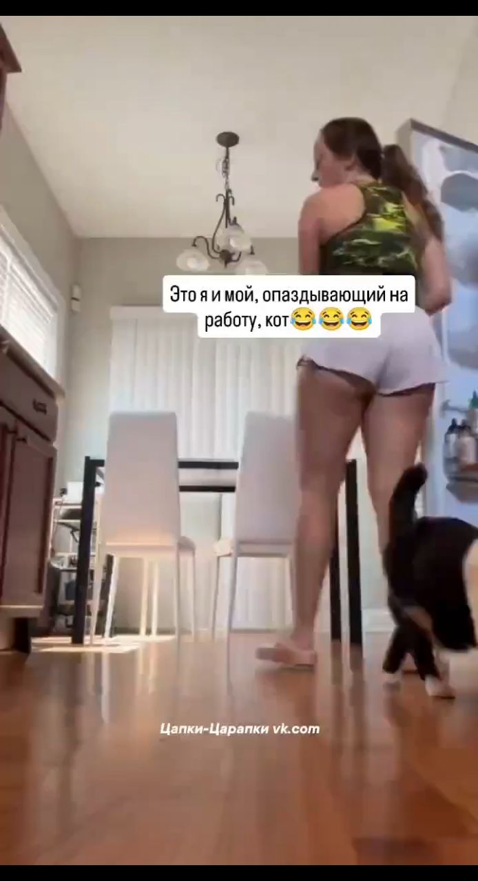 Looky_1720255255313 в LOOKY. . Когда кто-то торопит...