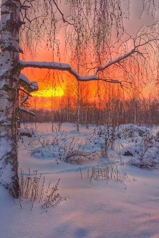 Артём Скарлупкин в LOOKY. . На закате дня 😍