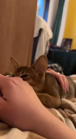 Вячеслав Кузнецов в LOOKY — Доброй ночи 🌙