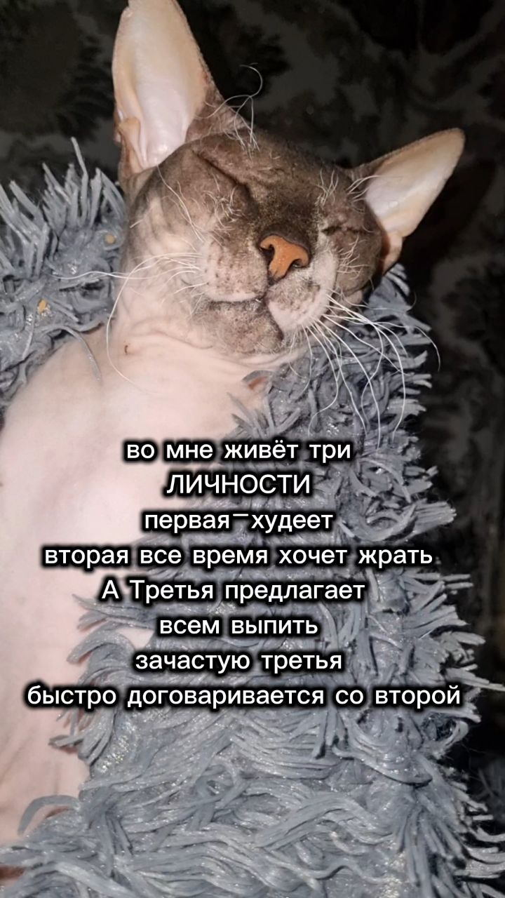katris_ka_ в LOOKY. #загородныйдом,#жизньзагородом,#мойдом,#местосилы,#собака,#любимаясобака,#амстаф,#сад,#огород,#небанальнаяусадьба. #загородныйдом #жизн...