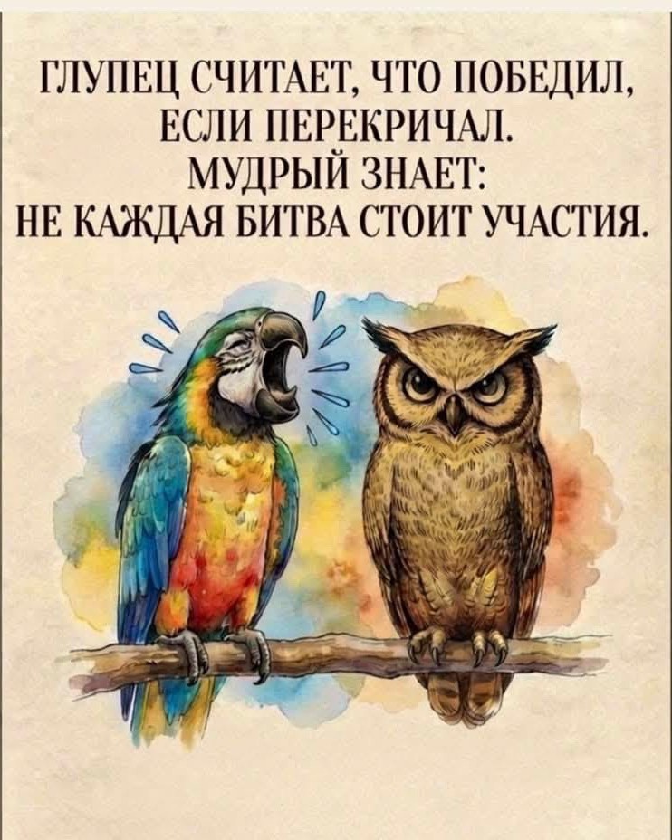  в LOOKY — публикация