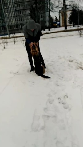 Алёнка in LOOKY. . Саша с Гердой