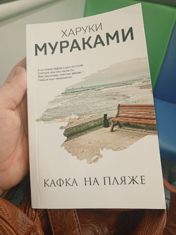 Лисичка с книгами в LOOKY. #бумажныекниги,#люблючитать. Когда начинают выкат...