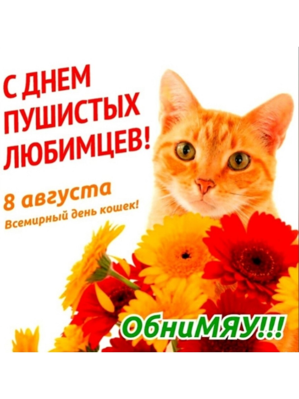 8 августа отмечается Всемирный день кошек. Его учредили в 2002 году по инициативе Международного фонда защиты животных (IFAW). Изначально цель была привлечь внимание к проблемам бездомных кошек. Желаю, чтобы ваша любовь к кошкам всегда возвращалась к вам двойным теплом и преданностью. 💖 Котикам желаю чтобы у каждого был свой уютный дом и любящие ма и па. Пусть у них всегда будет полная миска вкусного корма, чистая вода🍗💧и много разных игрушек, крепкое здоровье. Пусть все коробки в доме будут их — ведь в них так здорово прятаться! 📦

#ВсемирныйДеньКошек
#ДеньКошек
#СДнёмКошек
#ЛюблюКошек
#КотикиРулят
#МурМур
#ПушистоеСчастье
#ХвостатыеДрузья
#КошкиЭтоСчастье