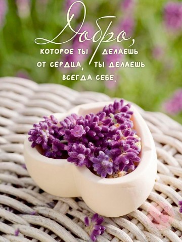 sokolovaelena264 в LOOKY. . Люди не могут любить...
