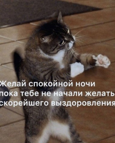 Звёздочка в LOOKY. . {🌟} – Добрейшего ве...