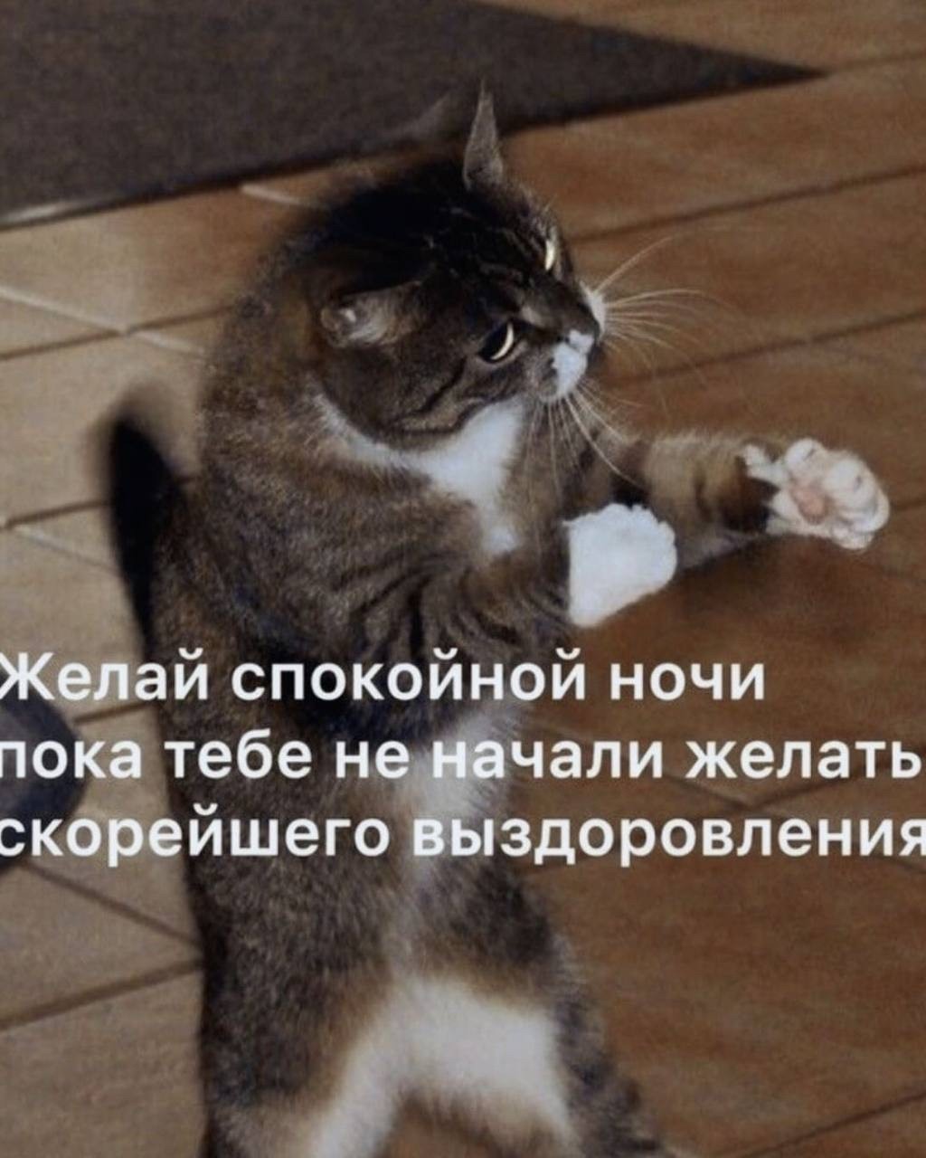 Звёздочка in LOOKY. . {🌟} – Добрейшего ве...