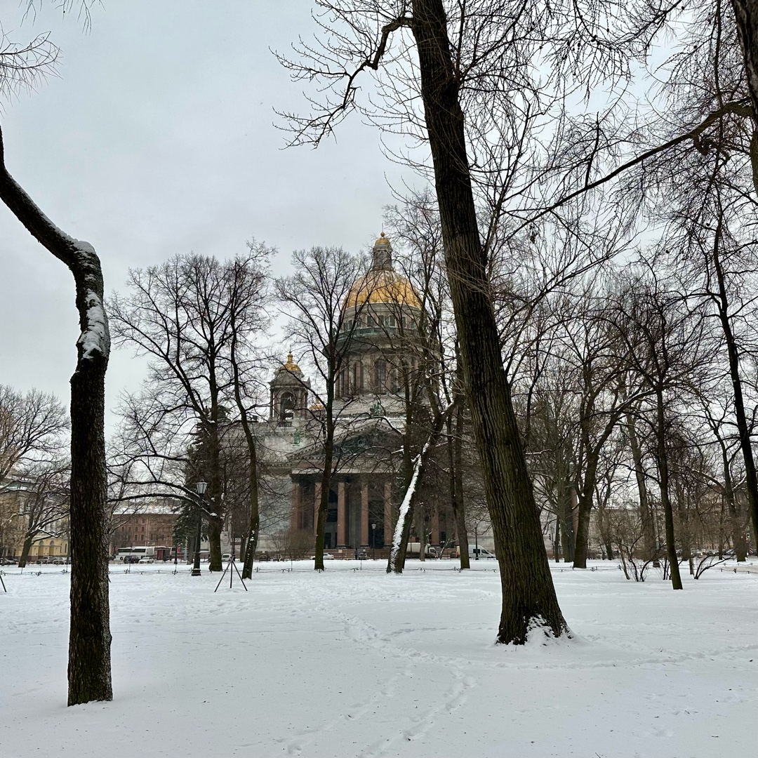 oleg_naz в LOOKY — публикация