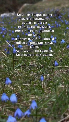 олеся в LOOKY — публикация