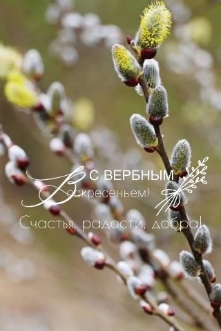 Looky_177117336997630 в LOOKY. . 