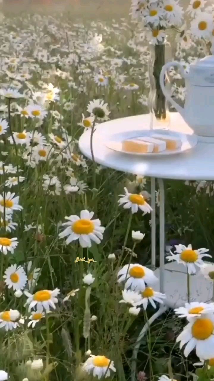 Svet_ya_ в LOOKY — ☀️Доброе утро🌼

Пусть этот месяц и день начнётся спокойно, 