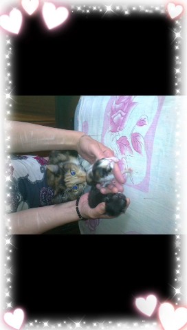 Looky_176729826147502 в LOOKY. . Стешенька принимает ...