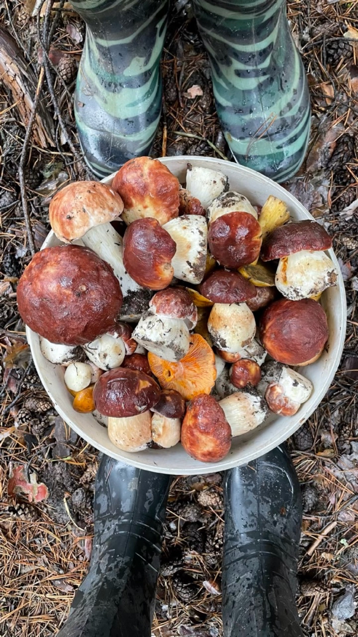 delaem_life в LOOKY. . Еще один мой кайф 🍄...