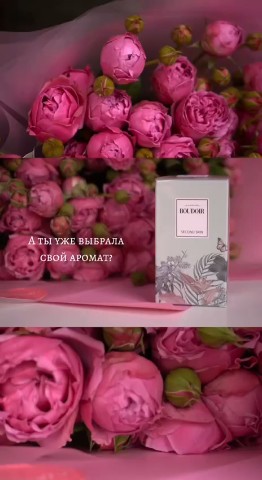 anna_bolonkina в LOOKY. . А ты уже выбрала сво...