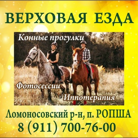 По городам и весям в LOOKY. #верховаяезда,#Ропша,#Ломоносовскийрайон,#СанктПетербург,#Ленинградскаяобласть,#Ломоносов. Вольная верховая езд...