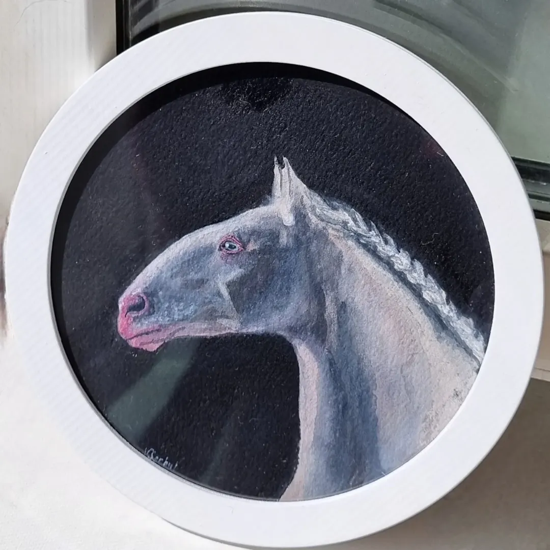 victoriaserbul_horse в LOOKY. #акварель,#лошадиакварелью,#лузитано,#анималистика,#анималистикаакварель. Прекрасный горбаносы...