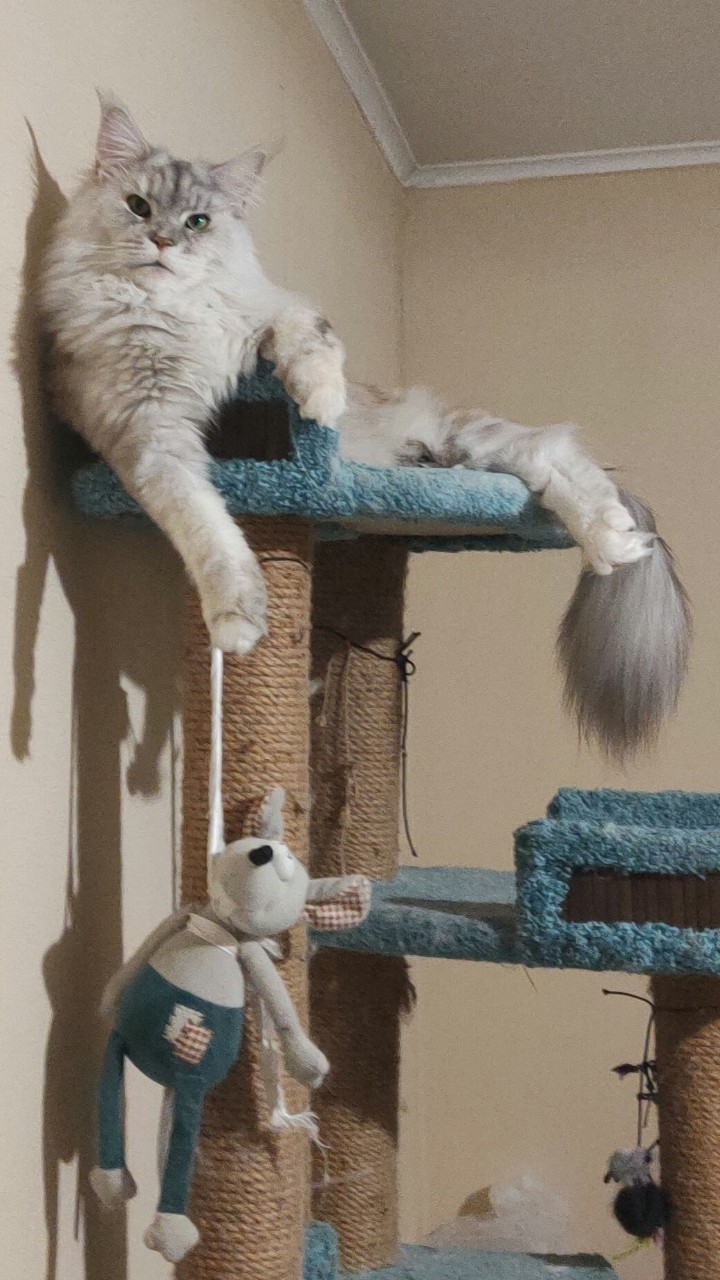 То что мне нравится in LOOKY. . 