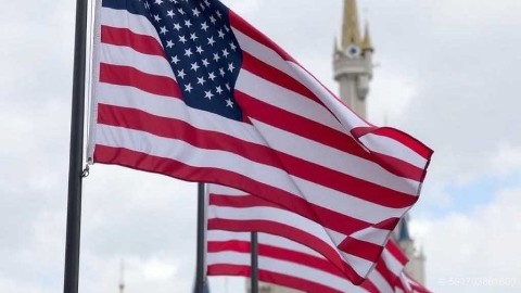 Factus Online в LOOKY. . Флаги США в парках Д...