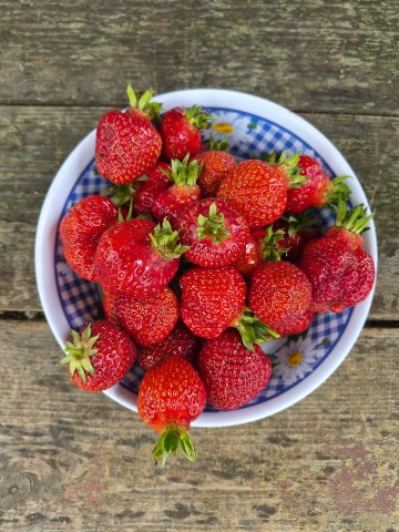 Mayfair в LOOKY. #клубника,#урожай,#лето,#июнь2026. Обожаю 🍓
#клубника ...