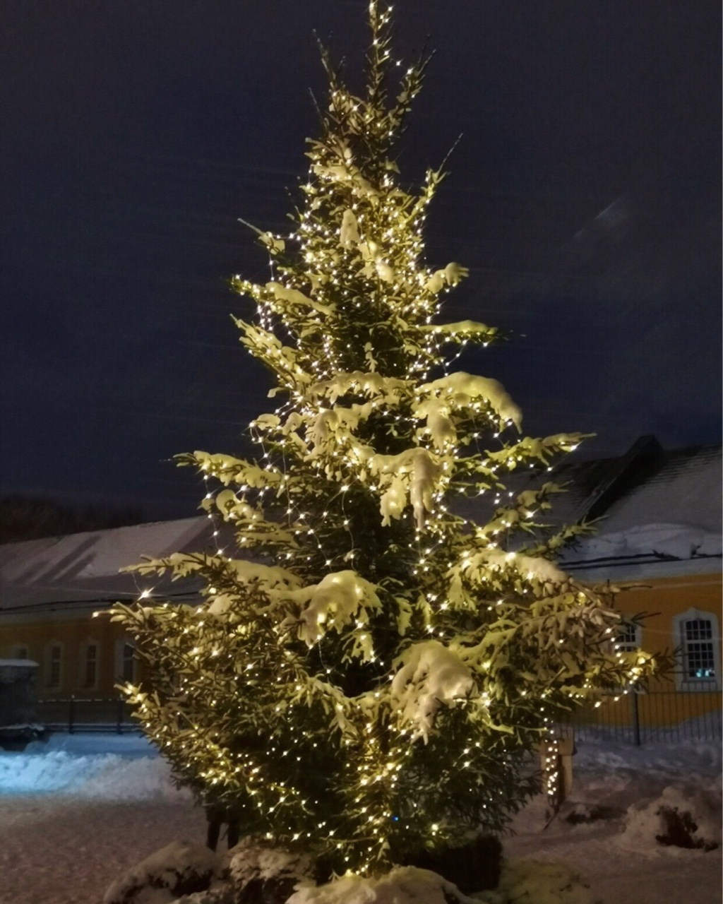 Kanakeira в LOOKY — Ёлочки нашего городка🎄

#ЦарскоеСело #Пушкин #СНовымГодом #