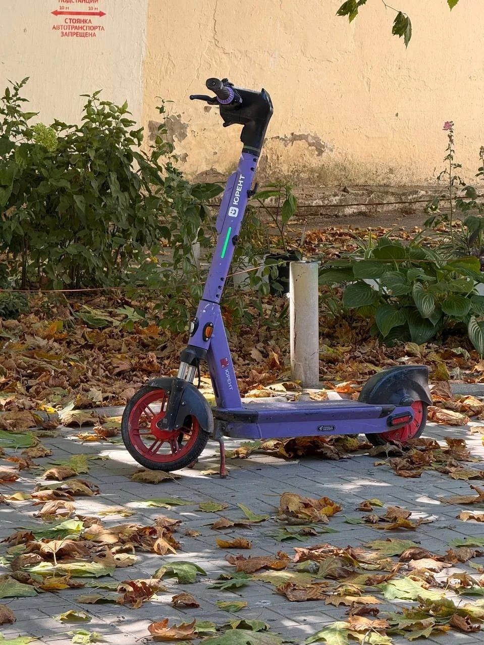 Надежда в LOOKY — фото 6