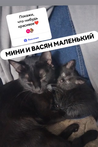 Looky_1705320123740 в LOOKY. . Привет дорогие хвост...