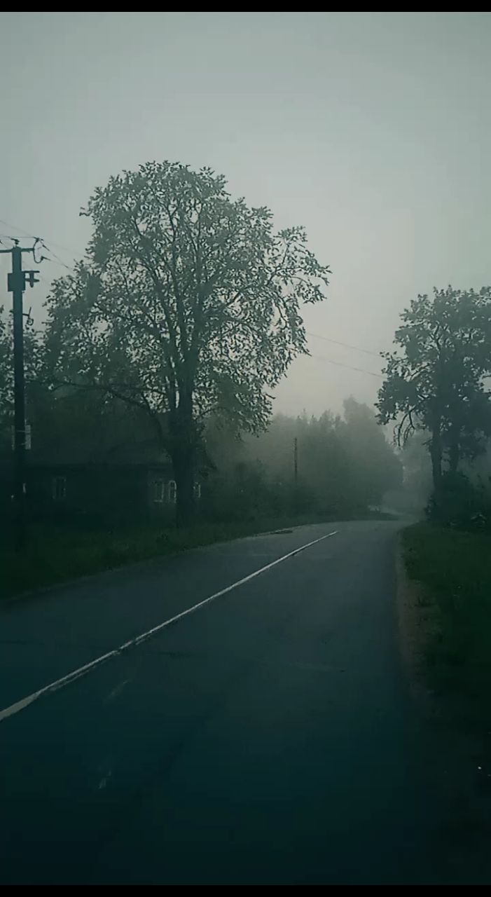ЛисЪ в LOOKY. . И где-то по туману б...