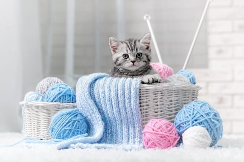 OlyOlyOly в LOOKY. . Сейчас что-нибудь св...