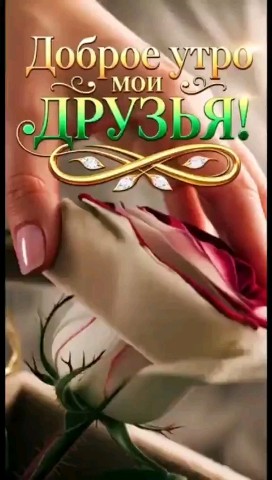 ВОЛК СЕРЫЙ в LOOKY — 🍁🌞🧡 С ДОБРЫМ УТРОМ МОИ ДОРОГИЕ ДРУЗЬЯ ПРЕКРАСНОГО ВАМ НАС