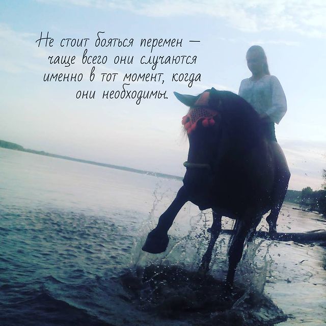 victoriaserbul_horse в LOOKY. #horseinstagram,#horse,#horses,#horselove,#horselife,#Лошади,#лошадиинстаграм,#конныйклуб,#Лошадижизнь,#лошадилюбовьнавс. #horseinstagram #hor...