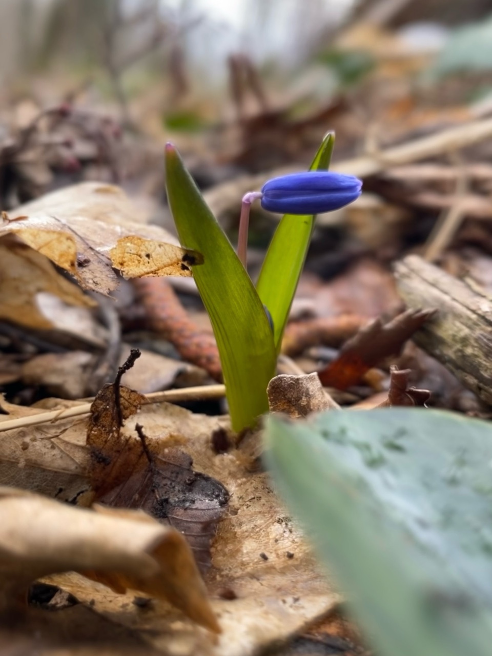 nina_melekhova в LOOKY — фото 3