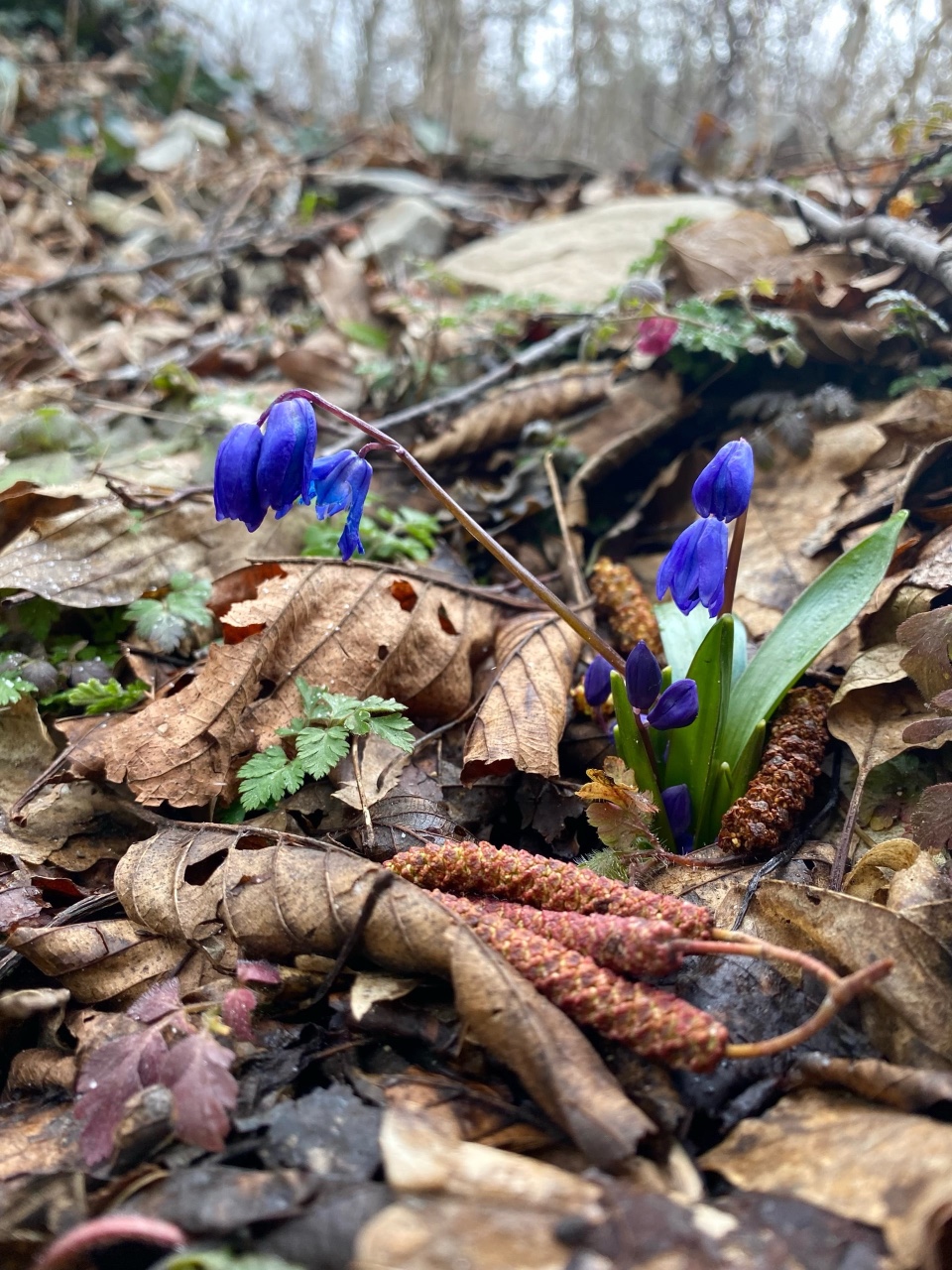 nina_melekhova в LOOKY — фото 2