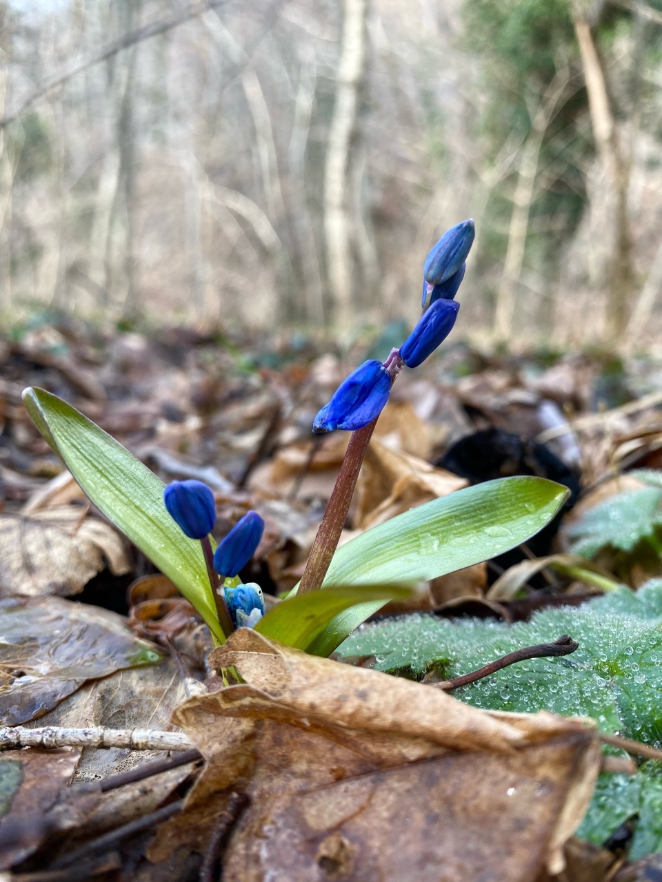 nina_melekhova в LOOKY — фото 5