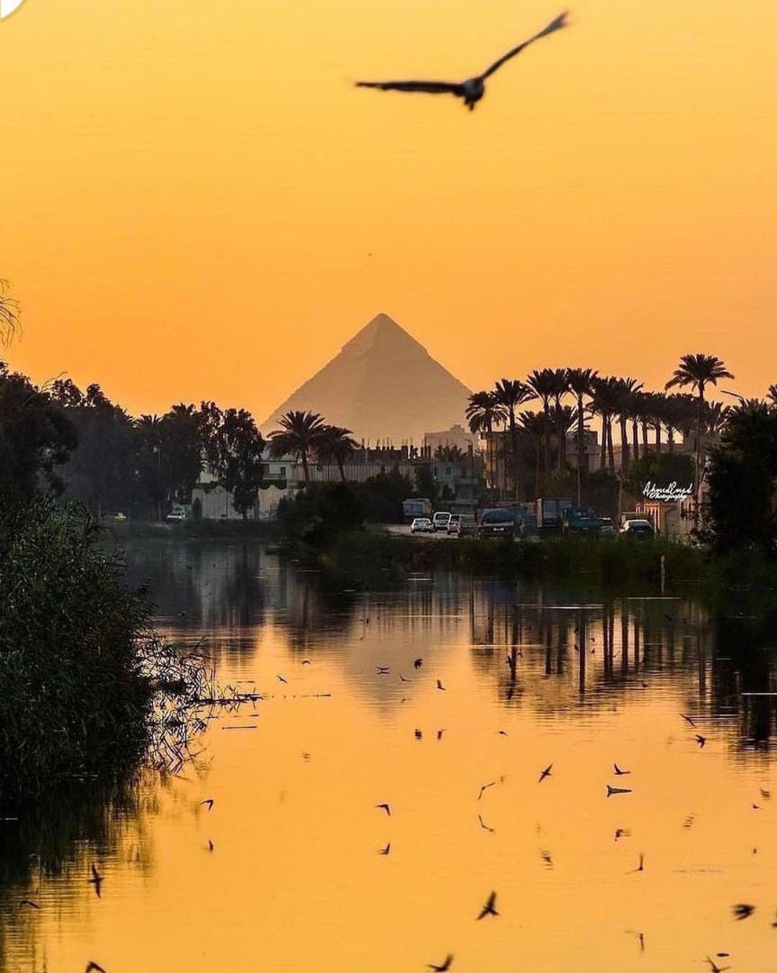 mo_salah3446 в LOOKY — публикация