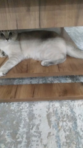 milashka in LOOKY. . 