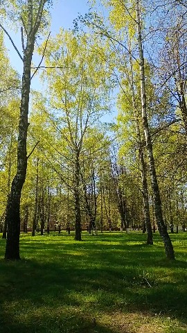 elina.liliya в LOOKY. . [#looky_наприроде](l...
