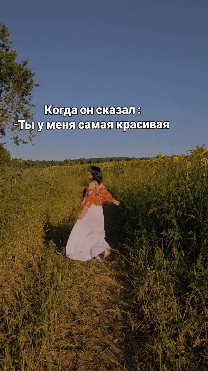 akita_inu__shiba_inu в LOOKY — публикация