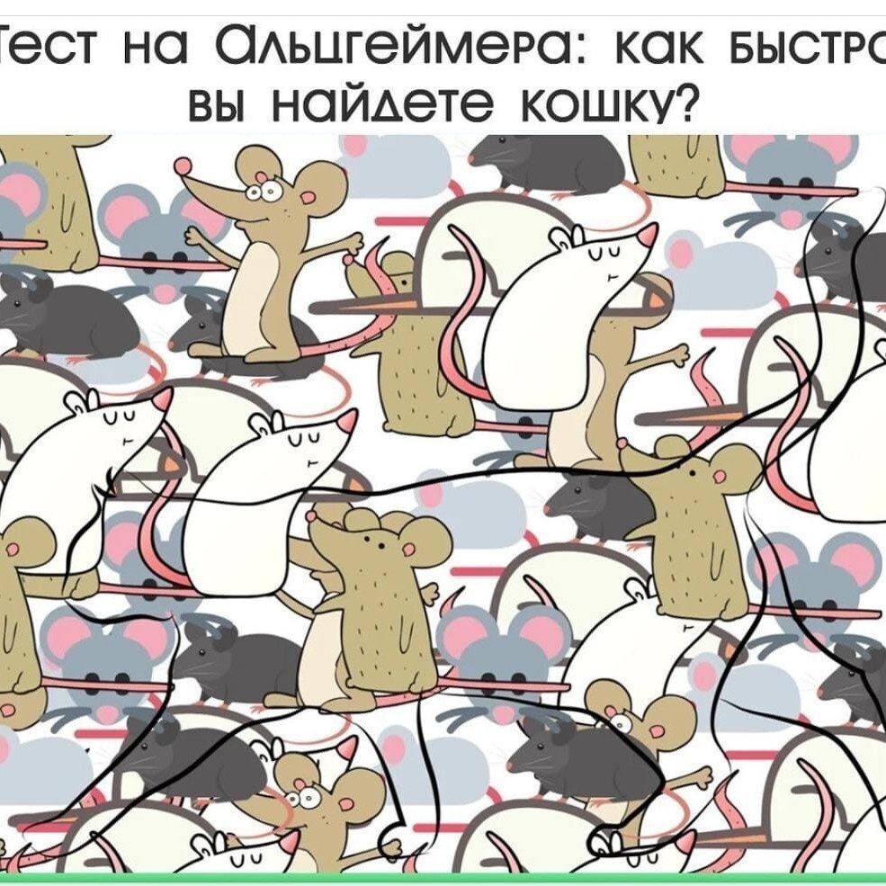 Нашла на просторах...

Неужели это так, как гласит надпись на картинке?

Я предлагаю другую: 
Кто найдёт кошку -  тот проживёт до 120 лет. 

#тест #тестнаальцгеймера #альцгеймер