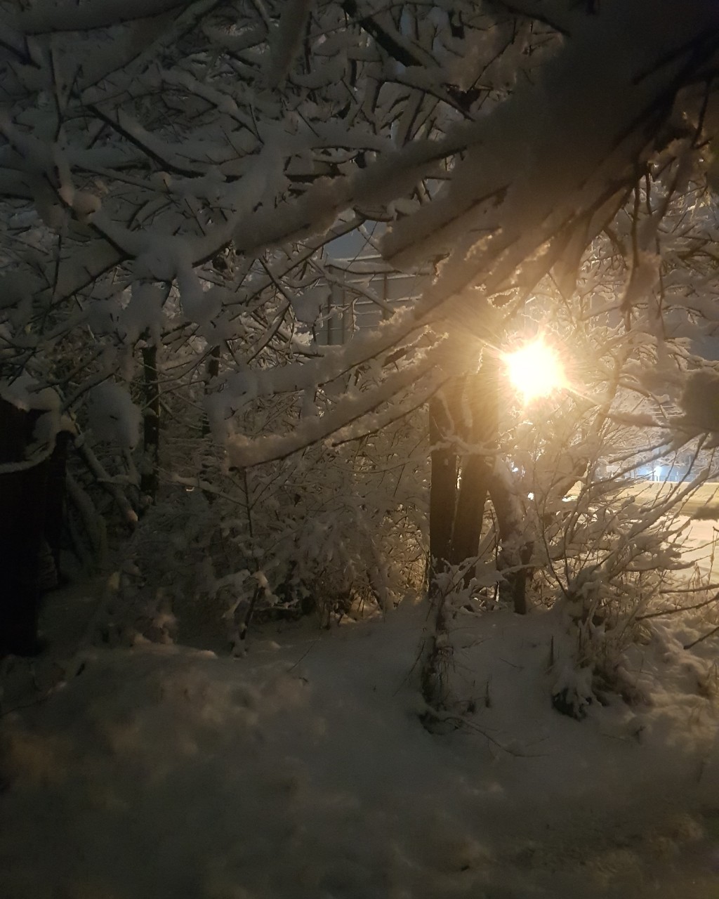 Зимнее настроение. 
[#winter ](winter)#walking #aesthetic #magic