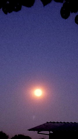 sveta_leta в LOOKY. #полнолуние. #полнолуние
🌖🌛🌕🌛...