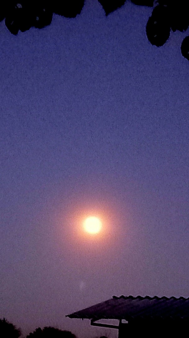 sveta_leta в LOOKY — #полнолуние
🌖🌛🌕🌛🌖🌛🌕🌛🌖🌛🌕🌛
   Конец июля. Вечер. П