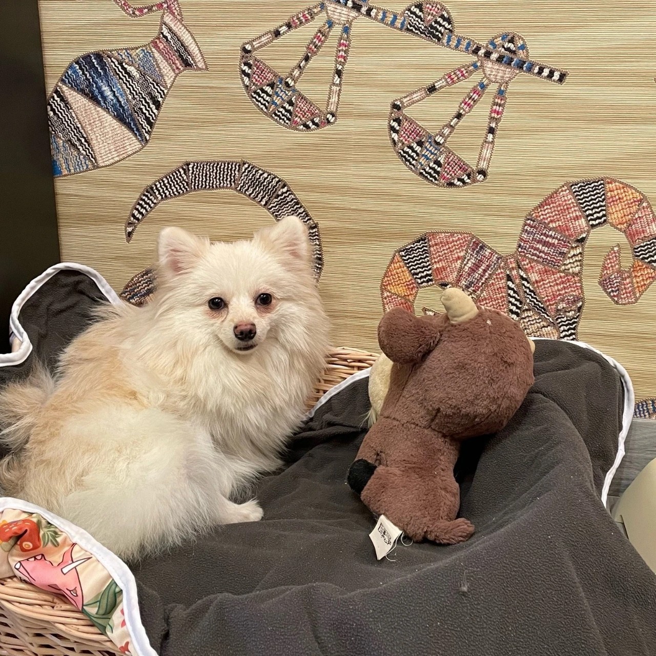 Looky_1669307719667 в LOOKY — ❤️❤️❤️ Всем пламенный приветик от ЕЛЕНИКИ и её необыкновенно